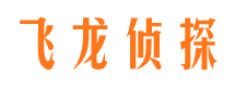 潞城市调查公司